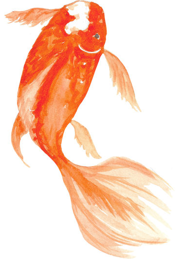 Koi Goldfish Watercolor Painting